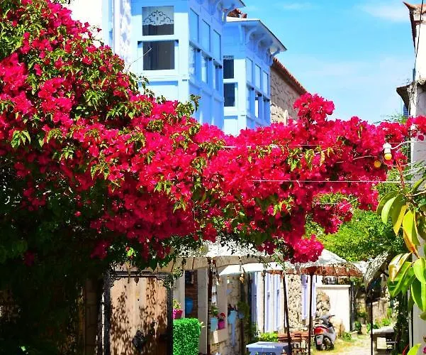 Отель Rue D'azur